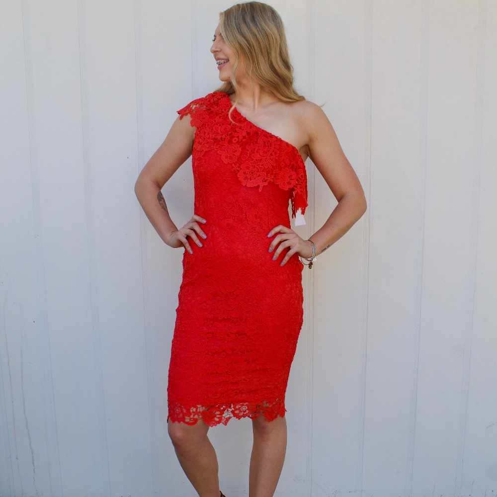 Paper Dolls Tall One Shoulder Crochet Lace Dress